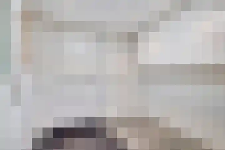 Blokkenweide 13 Chaam thumbnail 20