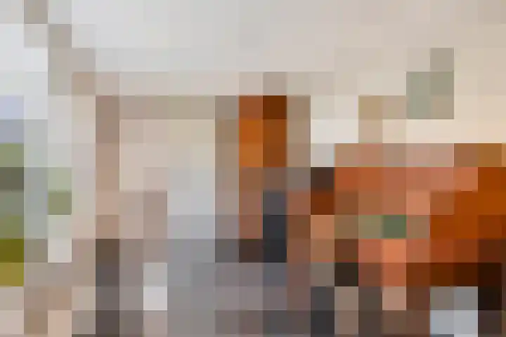 Blokkenweide 13 Chaam thumbnail 24