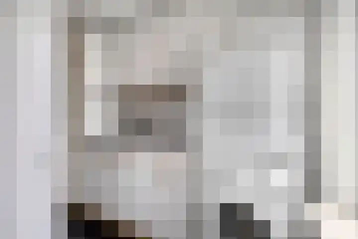 Blokkenweide 13 Chaam thumbnail 25