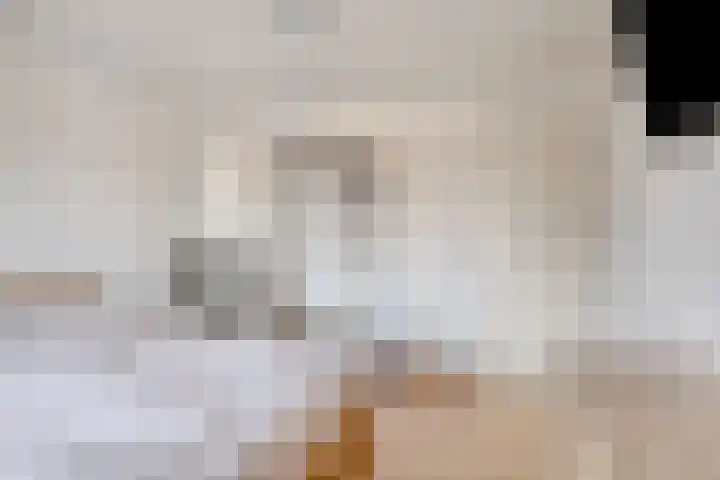 Blokkenweide 13 Chaam thumbnail 27