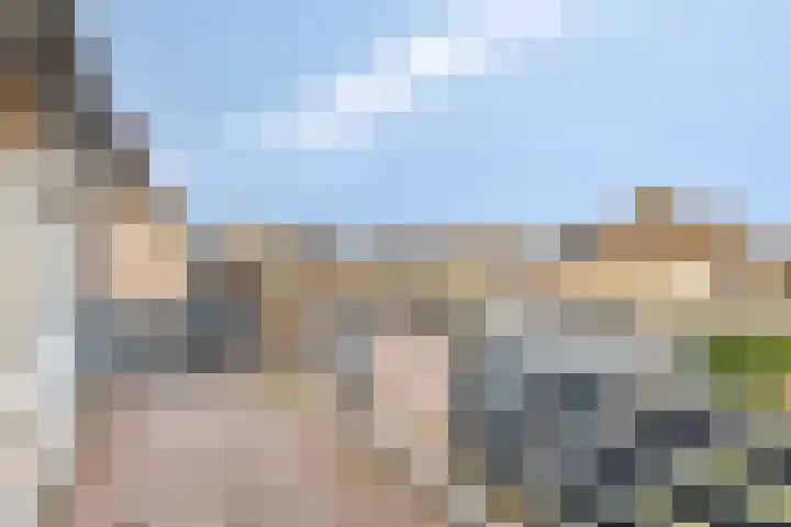 Blokkenweide 13 Chaam thumbnail 28