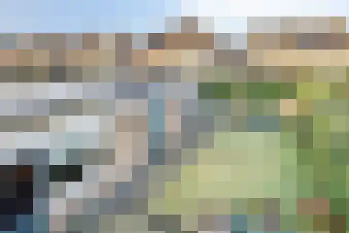 Blokkenweide 13 Chaam thumbnail 29