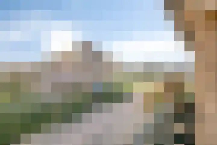 Blokkenweide 13 Chaam thumbnail 35