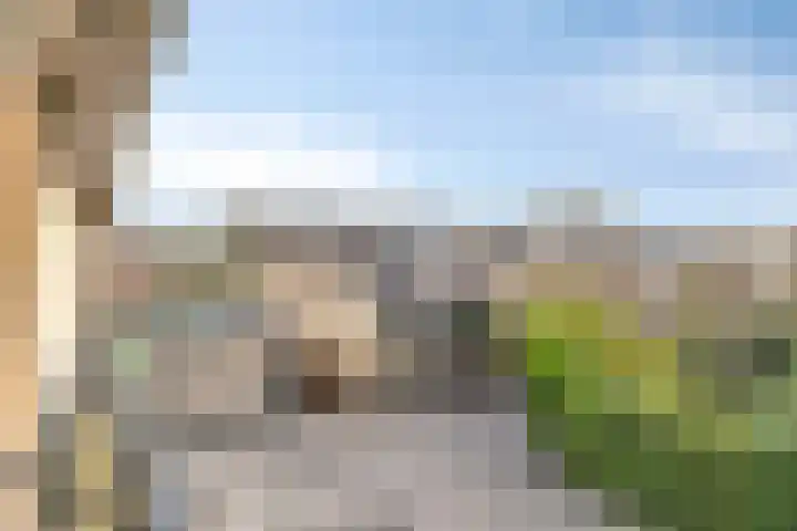 Blokkenweide 13 Chaam thumbnail 36