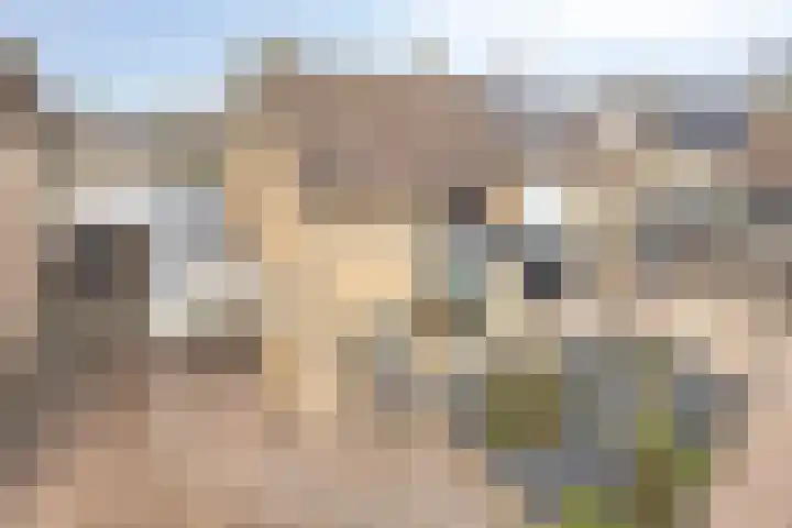 Blokkenweide 13 Chaam thumbnail 4