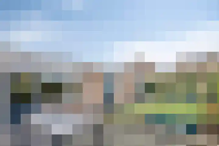 Blokkenweide 13 Chaam thumbnail 44