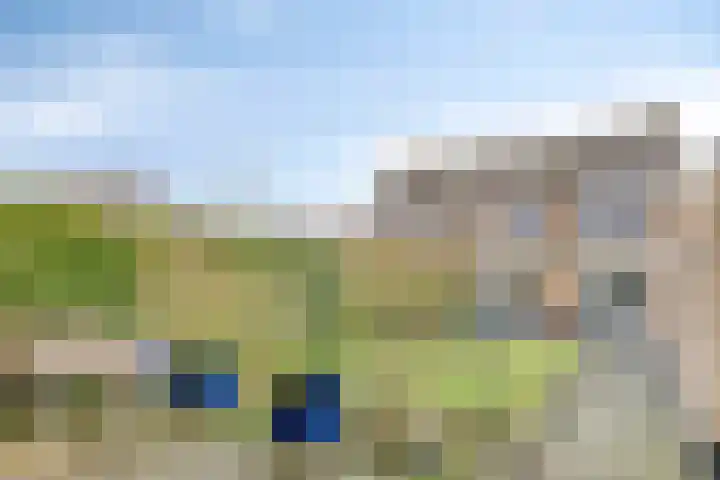 Blokkenweide 13 Chaam thumbnail 46