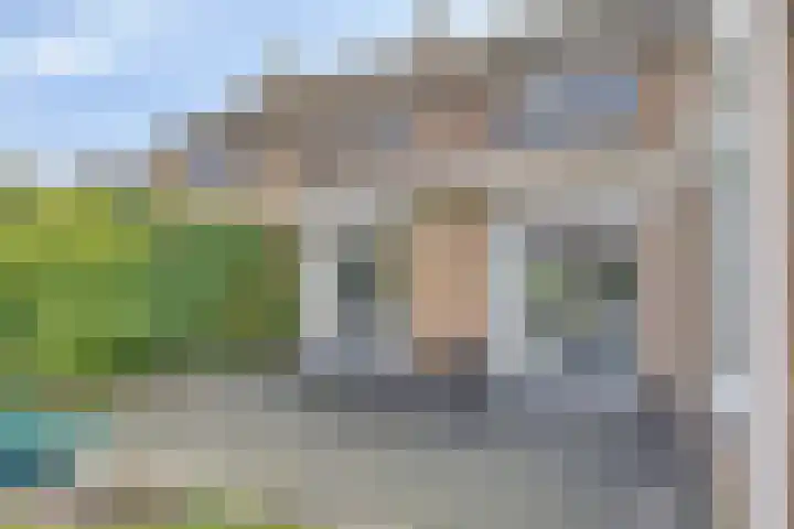 Blokkenweide 13 Chaam thumbnail 48