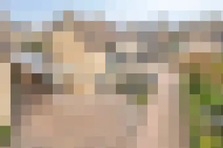 Blokkenweide 13 Chaam thumbnail 50