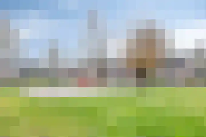 Blokkenweide 13 Chaam thumbnail 51