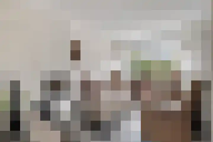 Blokkenweide 13 Chaam thumbnail 7