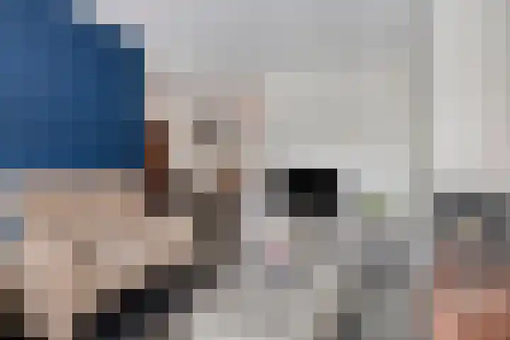 Blokkenweide 13 Chaam thumbnail 9