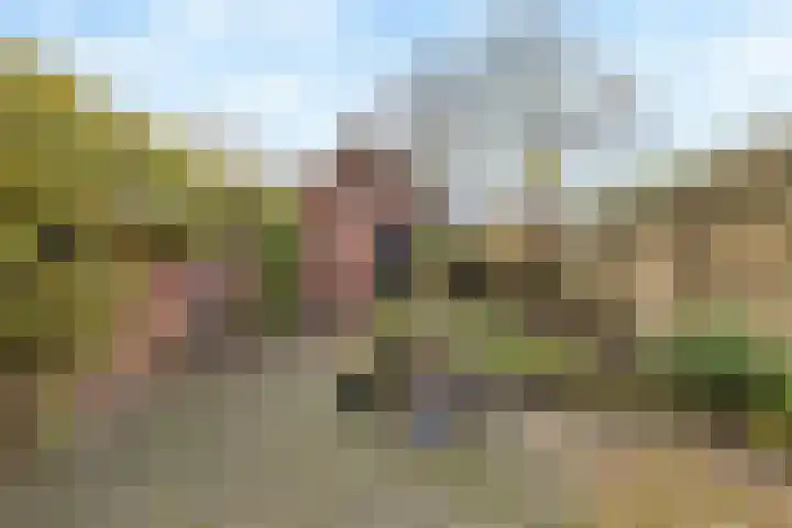Blokland 1 Weesp thumbnail 18