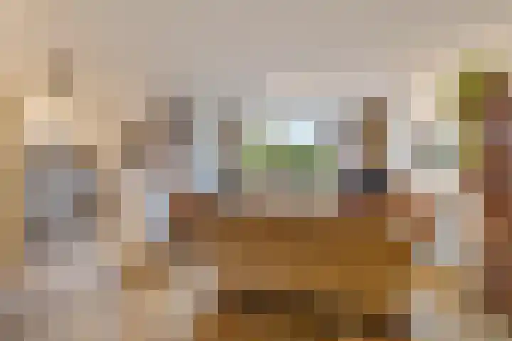 Blokland 1 Weesp thumbnail 9
