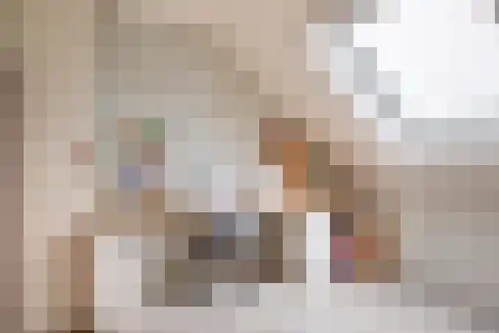 Blokvang 14 Moerkapelle thumbnail 31