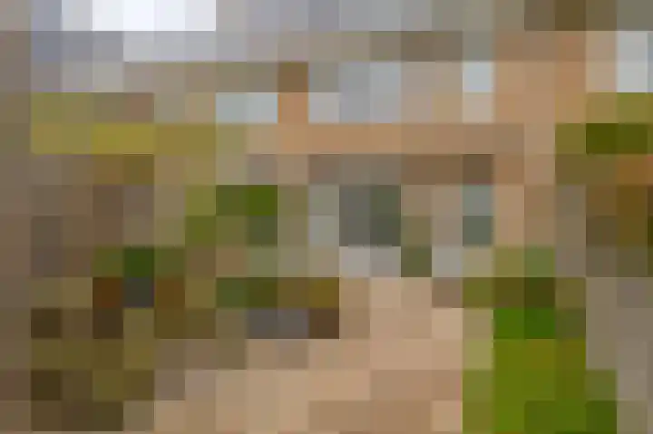 Blokvang 14 Moerkapelle thumbnail 35