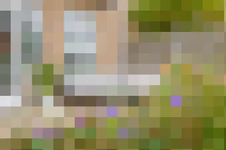 Blokvang 14 Moerkapelle thumbnail 37