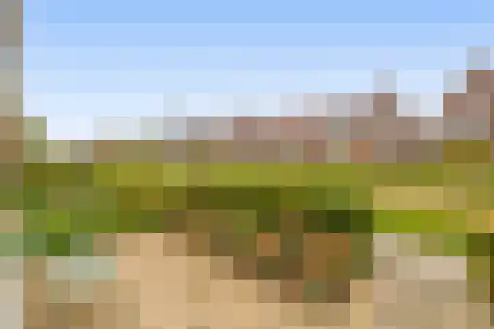 Blokvang 14 Moerkapelle thumbnail 40