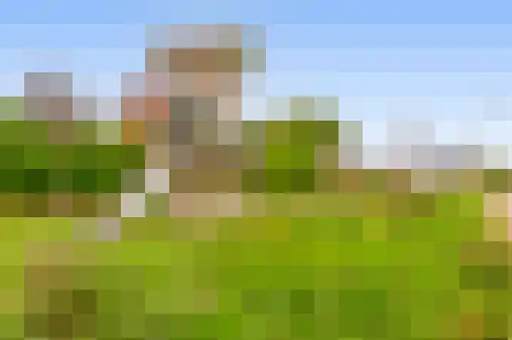 Blokvang 14 Moerkapelle thumbnail 42