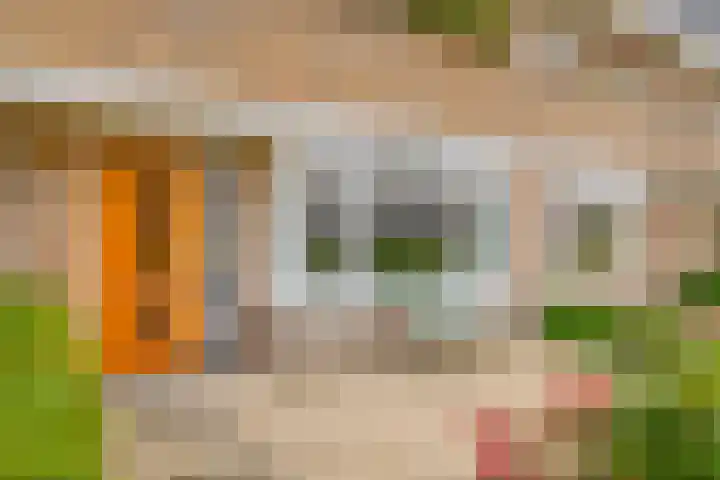 Blokvang 14 Moerkapelle thumbnail 5