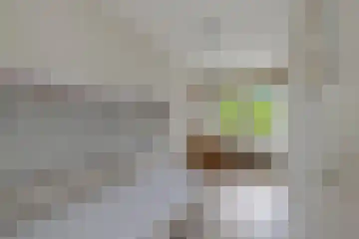 Blondeelstraat 70 Rotterdam thumbnail 29