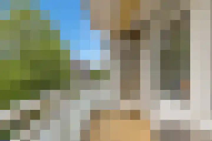Blondeelstraat 70 Rotterdam thumbnail 36