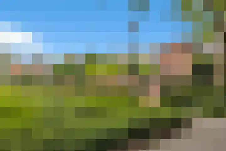 Blondeelstraat 70 Rotterdam thumbnail 39