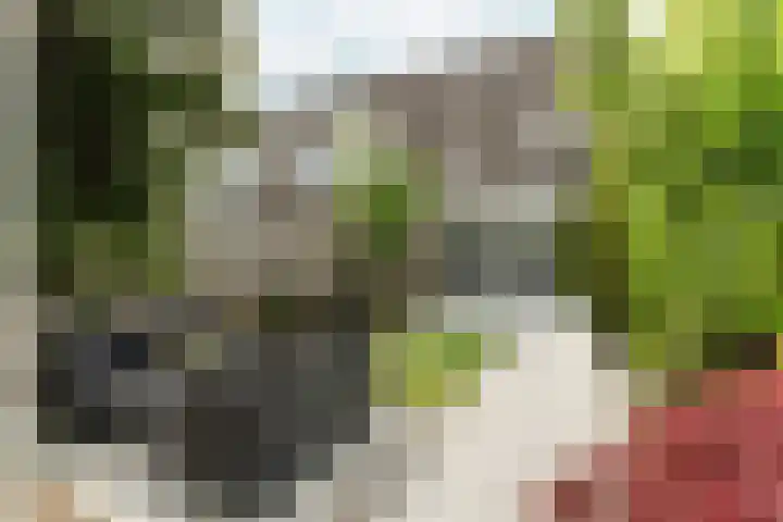 Bob Marleystraat 48 Almere thumbnail 55