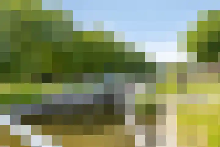 Bobbieplantsoen 10 Almere thumbnail 29
