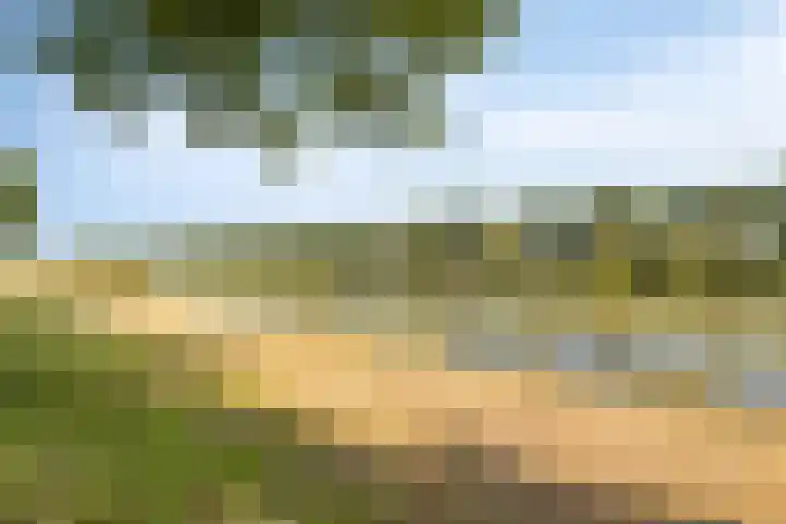 Bobbieplantsoen 10 Almere thumbnail 30