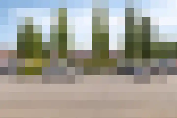 Bobbieplantsoen 10 Almere thumbnail 7