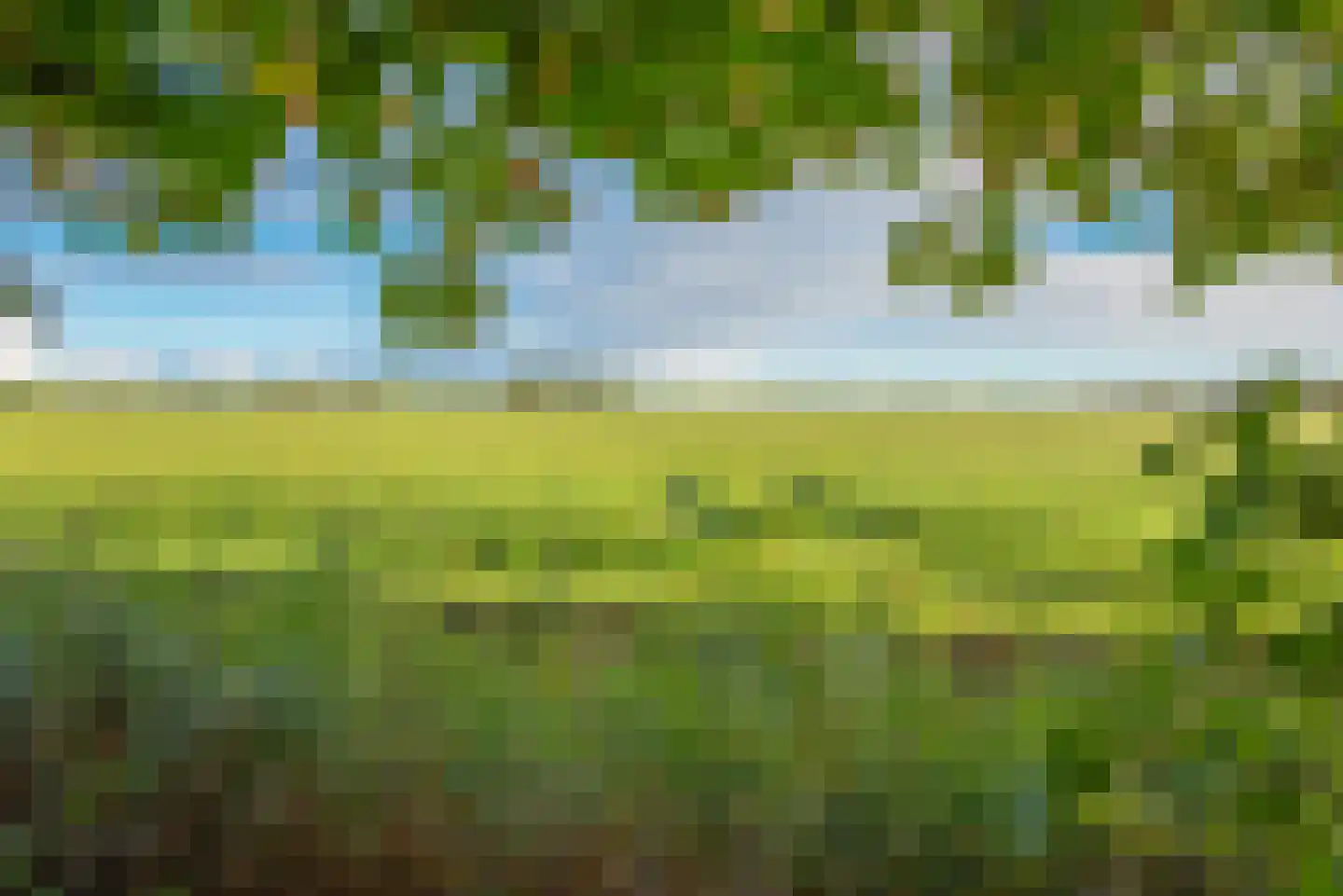 Bobeldijk 144 Spierdijk thumbnail 28