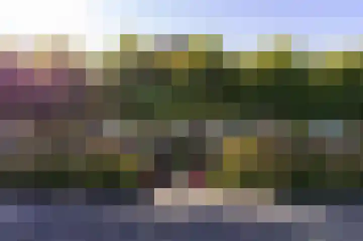 Bobeldijk 47 Berkhout thumbnail 10