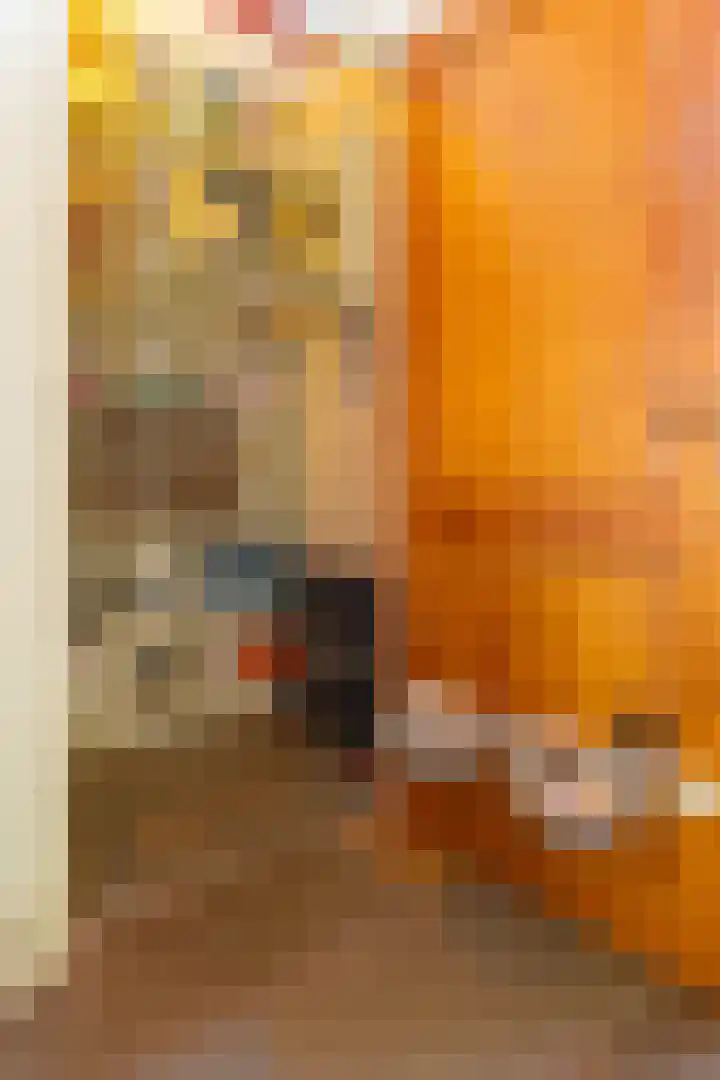 Bobeldijk 47 Berkhout thumbnail 20