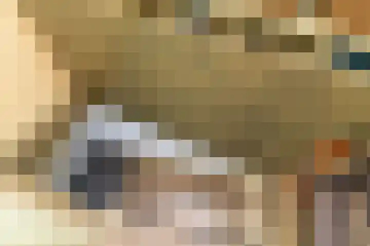 Bobeldijk 47 Berkhout thumbnail 21