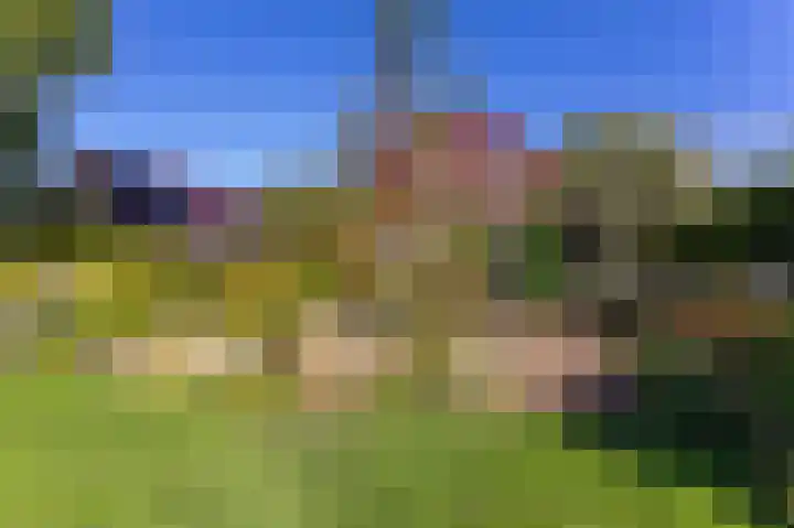Bobeldijk 47 Berkhout thumbnail 28