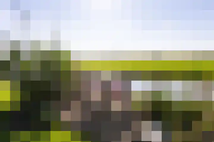 Bobeldijk 47 Berkhout thumbnail 30