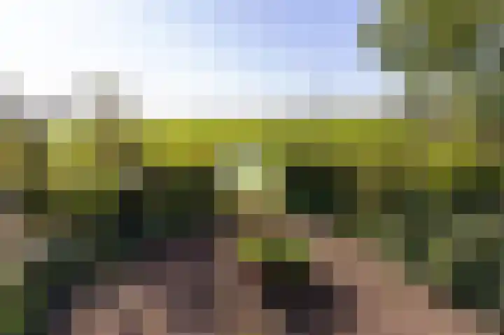 Bobeldijk 47 Berkhout thumbnail 36