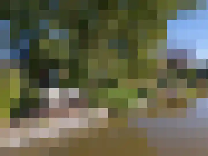 Bobeldijk 47 Berkhout thumbnail 38