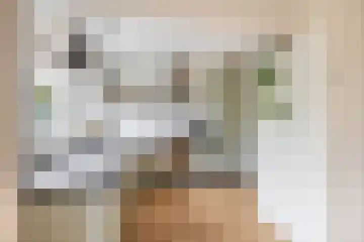 Bobeldijk 47 Berkhout thumbnail 39