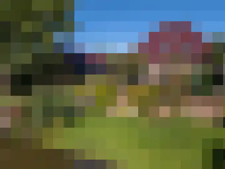 Bobeldijk 47 Berkhout thumbnail 39