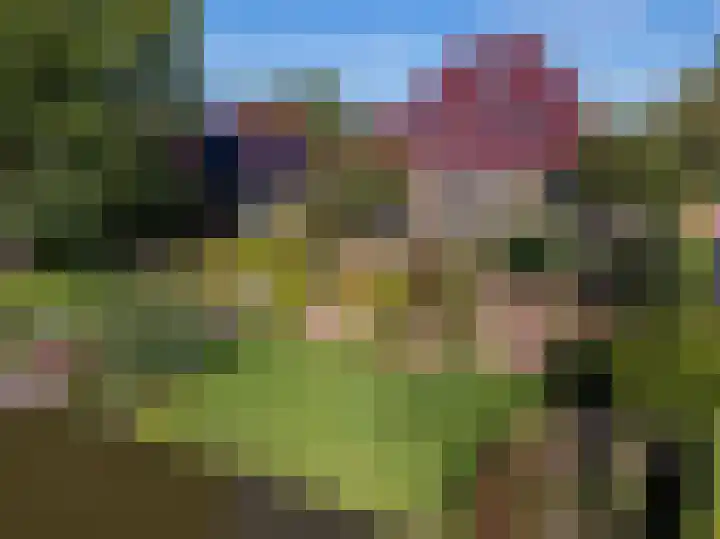 Bobeldijk 47 Berkhout thumbnail 41