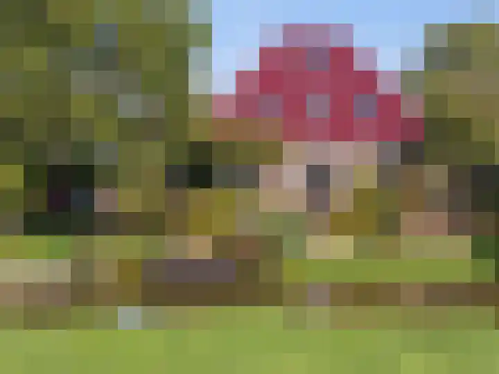 Bobeldijk 47 Berkhout thumbnail 42