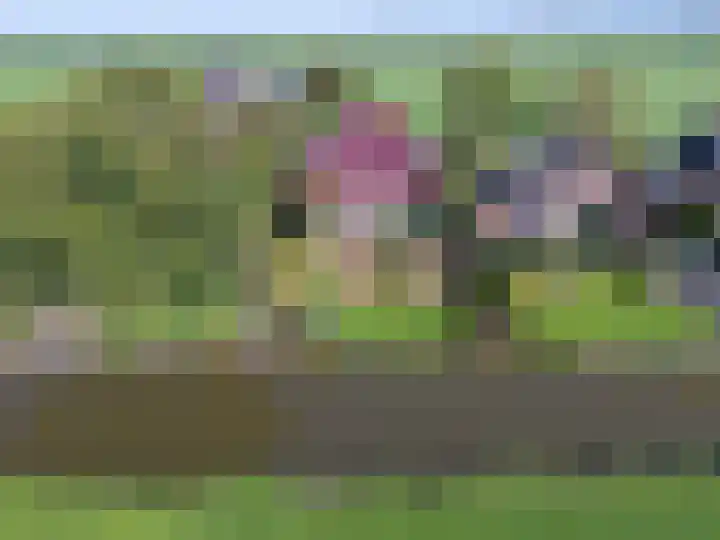 Bobeldijk 47 Berkhout thumbnail 43