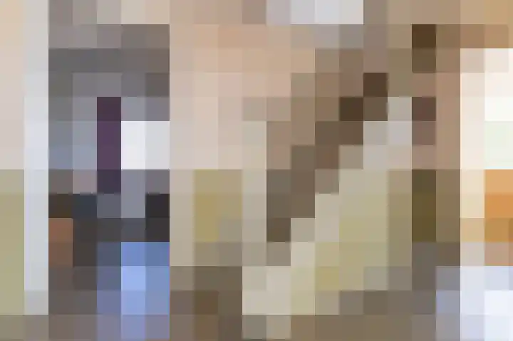 Bobeldijk 47 Berkhout thumbnail 45
