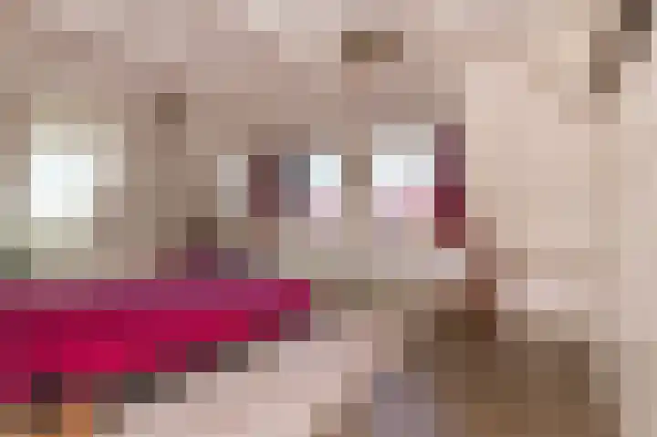 Bobeldijk 47 Berkhout thumbnail 46
