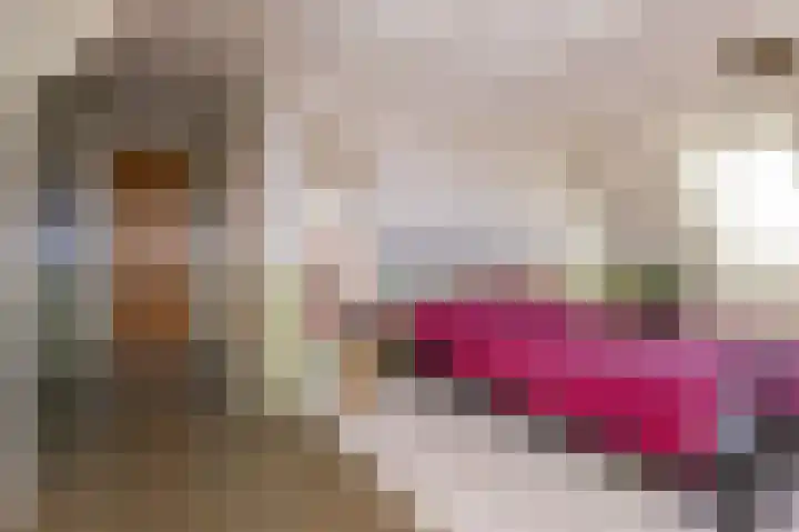 Bobeldijk 47 Berkhout thumbnail 47