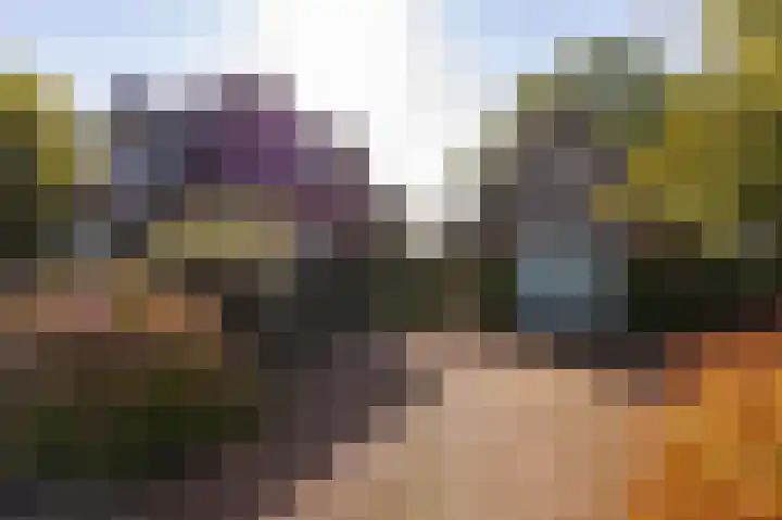 Bobeldijk 47 Berkhout thumbnail 5