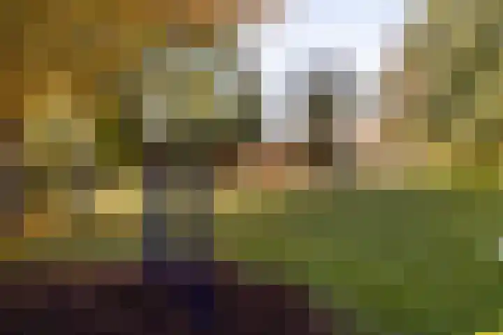 Bobeldijk 47 Berkhout thumbnail 54