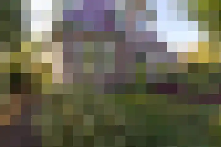 Bobeldijk 47 Berkhout thumbnail 62